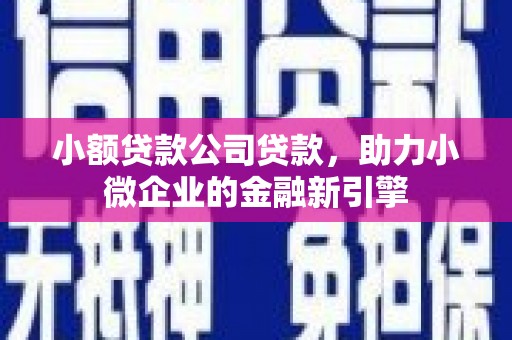 龙城小额贷款公司贷款，助力小微企业的金融新引擎