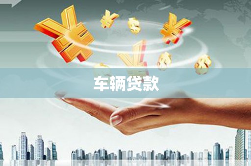 岭东车辆贷款