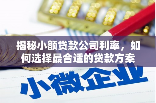 星子揭秘小额贷款公司利率，如何选择最合适的贷款方案