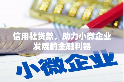 偃师信用社贷款，助力小微企业发展的金融利器