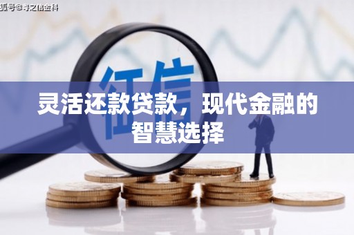 苍梧灵活还款贷款，现代金融的智慧选择