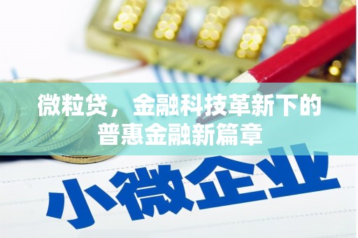 名间微粒贷，金融科技革新下的普惠金融新篇章