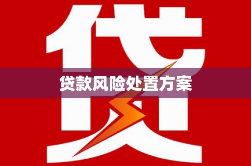 沙洋贷款风险处置方案