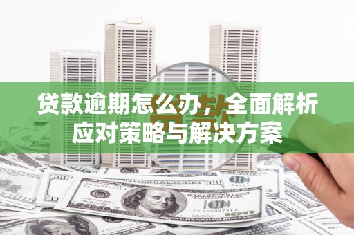 湾仔区贷款逾期怎么办，全面解析应对策略与解决方案