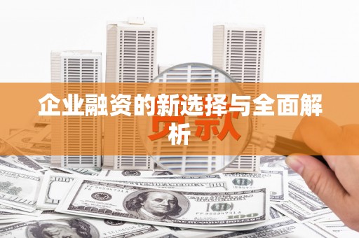 楠西企业融资的新选择与全面解析