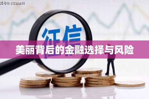 离石美丽背后的金融选择与风险
