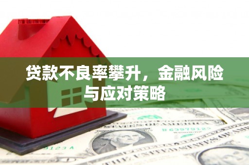 镇安贷款不良率攀升，金融风险与应对策略